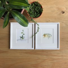 1 / Serie Plantas / Mercedes Miró - tienda online