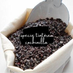 Cuello gorro Nuni - violeta (cochinilla)