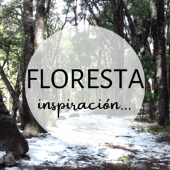 Cuello gorro Floresta - gris perla (maqui) - comprar online