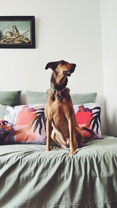 Almohadon VERA