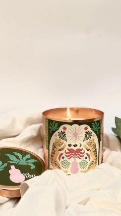 PACK VELAS PARAISO en internet