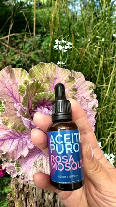 Aceites Puros - CASA RAMON - MAYORISTA