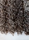 ESPUMA SILVESTRE RUG on internet
