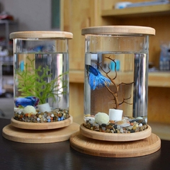 Acuario Mini de Peces con Iluminación LED - comprar online