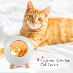Gato luz nocturna - tienda online