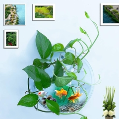 Pecera pared - comprar online