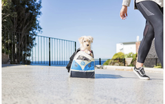 Furgoneta Volkswagen Portadora de mascotas en internet