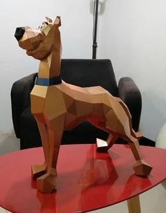 Scooby completo