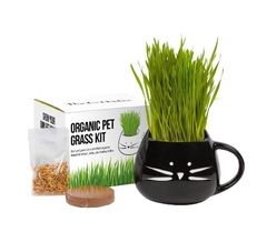césped orgánico para gatos
