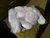Piedras en internet