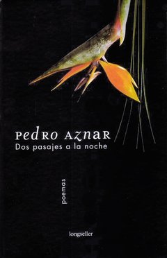 DOS PASAJES A LA NOCHE