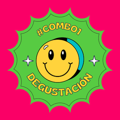 COMBO 1 - DEGUSTACION -