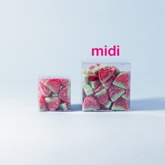 SANDIAS en internet