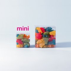 ZOO - comprar online