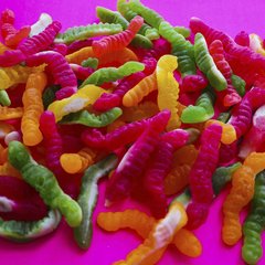 GUSANITOS
