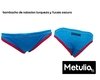 Bombacha de Natación con Cordón Ajustable, Turquesa y fucsia / BOM206 - comprar online