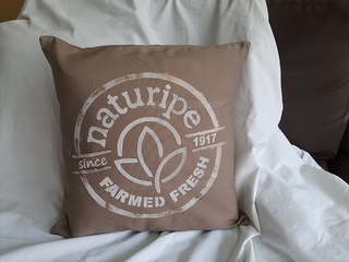 ALMOHADONES PINTADOS A MANO