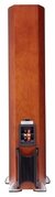 Imagen de Polk Audio Rti A5 Floorstanding (par) (black)