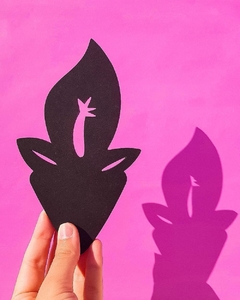 Teatro de Sombras, Flor del Ceibo en internet
