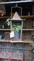 Vivero + Deco