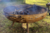 Imagen de Fogon Casquete