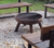 FOGONERO CON TAPA CONVERTIBLE MESA - comprar online