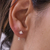 Aretes Stargaze on internet