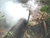 PRUEBA DE HUMO - SMOKE TEST