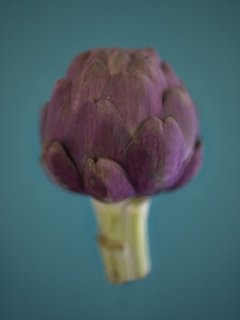 alcaucil - comprar online