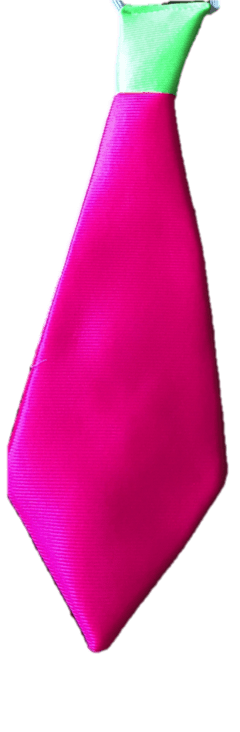 Corbatas fluo - Pack x 10 en internet