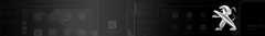 Banner de la categoría PEUGEOT