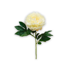 Vara Peonia 0.66 mts.