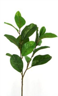 Vara Hoja Magnolia 0.98 mts.