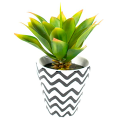 Agave maceta con ondas