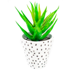 ALOE EN MACETA CON PUNTOS