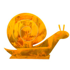 CARACOL DE CHAPA