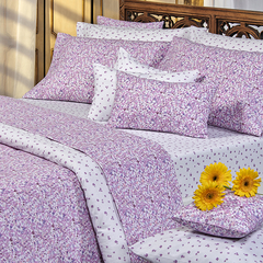 Sabana Danubio Dreams 1 Plaza Diseño Liberty