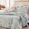 Sabana Prata 1 Plaza Diseño Eve