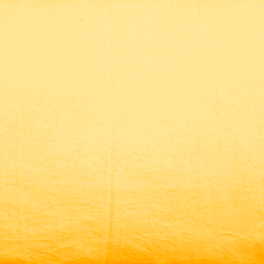 Funda de Almohadon Tusor 30x60 VH Fabrics Color Mostaza