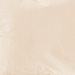 Funda de Almohadon Tusor 40x40 VH Fabrics Color Natural