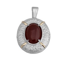 Colgante Plata y Oro Cod.1171