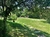 chalet-villa-carlos-paz-lago-parque