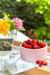 Set x2 Bowls Neptuno Rosa en internet