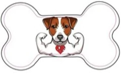 MEDALLAS HUESO IDENTIFICATORIA FACIL GRABADO MEDIANA H97 0MEH97