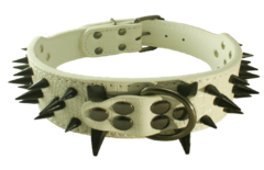 COLLAR CON APILQUES