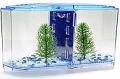 BETTA BOW DOBLE FRONT PARA 2 BETTAS