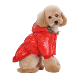 CAMPERA INFLABLE CON PIEL en internet