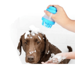 CEPILLO DISPENSER PARA BAÑO