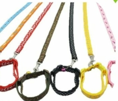 CONJUNTO COLLAR CORREA RASADO