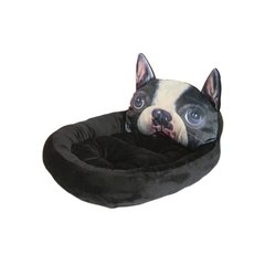 MOISES CARA DE BULLDOG FRANCES - comprar online